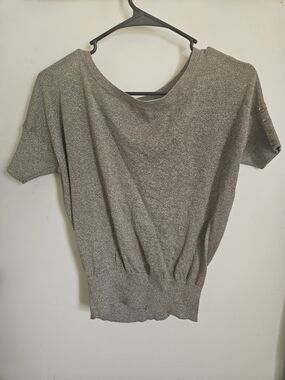 LOFT Shimmery Taupe Short Sleeve Metallic Knit Top